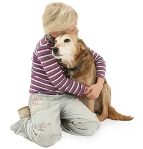 hug-pet